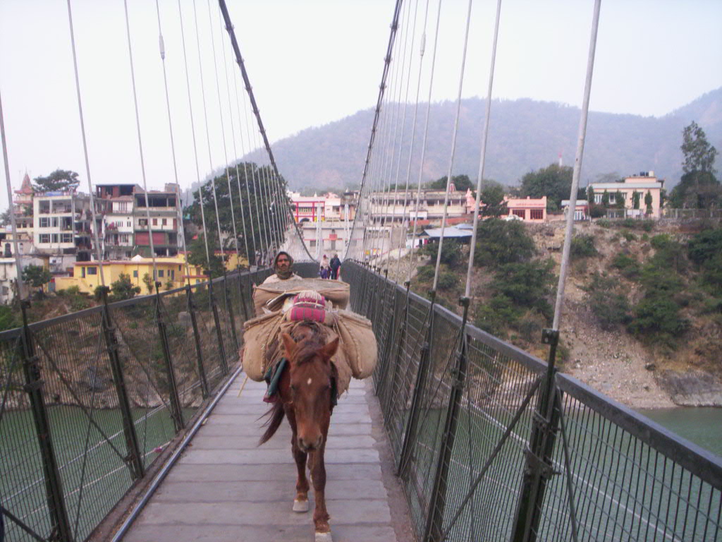 Hängebrücke